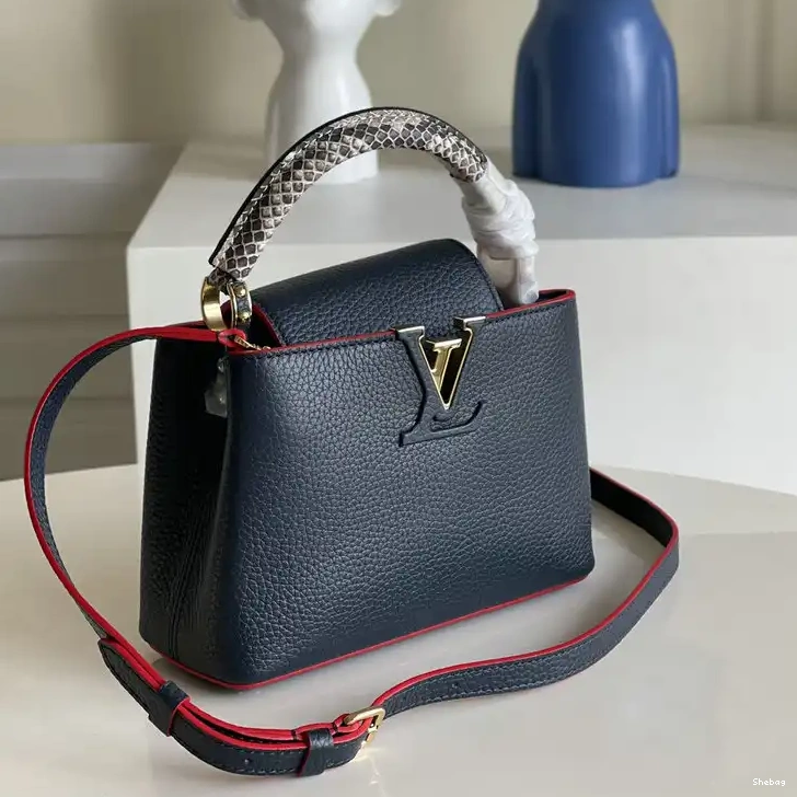 2110YA0096 LV Bags 0730